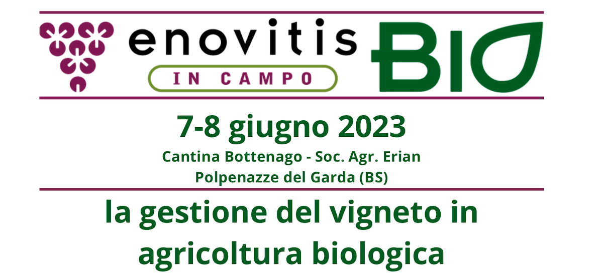 Enovitis in Campo Bio 2023: la gestione del vigneto in agricoltura biologica